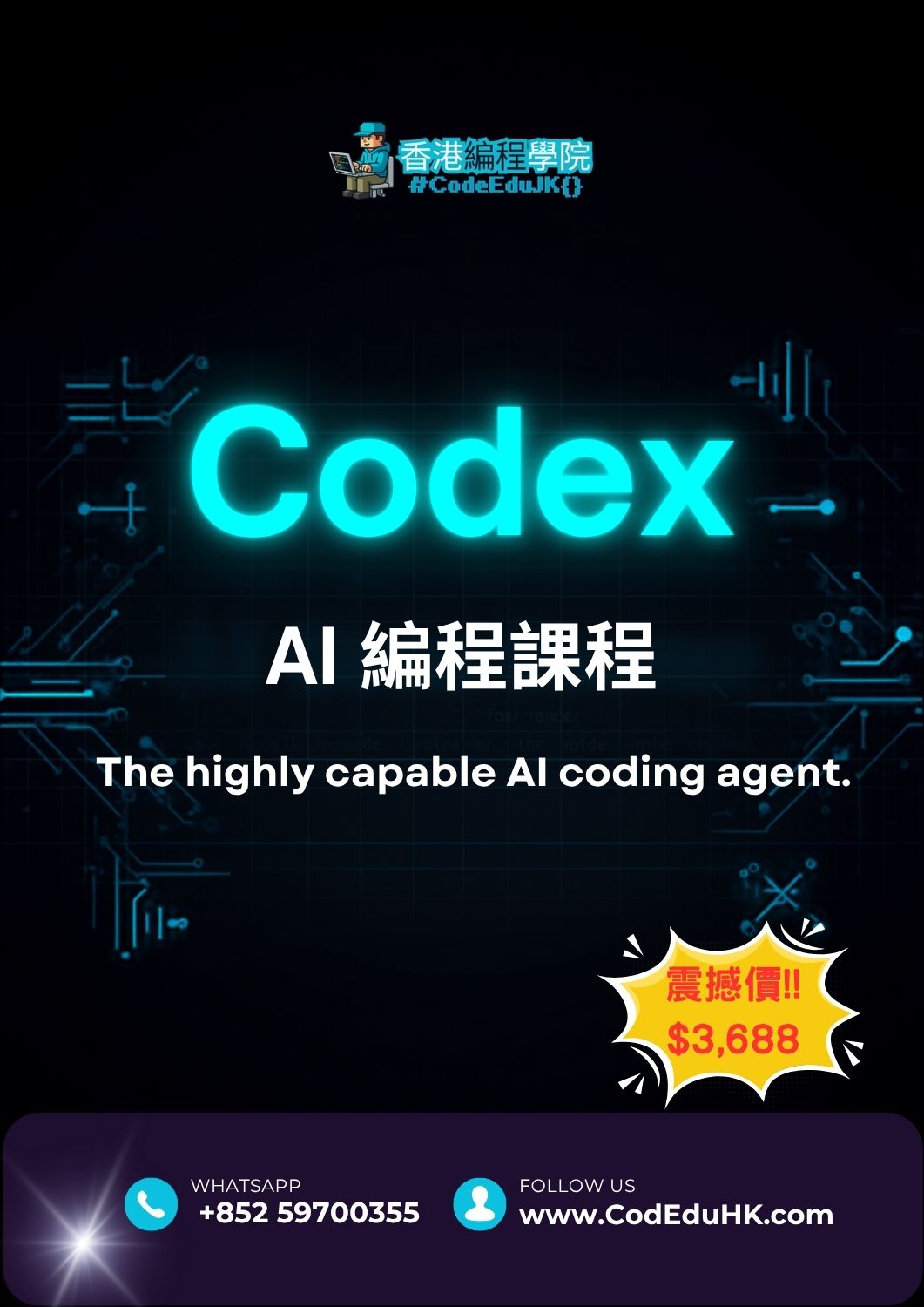 實體編程課程:Codex AI 編程課程